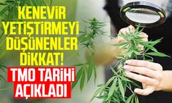 Kenevir yetiştirmeyi düşünenler dikkat! TMO tarihi açıkladı