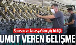 Kenevirde Samsun ve Amasya'dan güç birliği: Umut veren gelişme