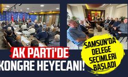 AK Parti'de kongre heyecanı! Samsun'da delege seçimleri başladı