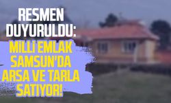 Resmen duyuruldu: Milli Emlak'tan Samsun'da arsa ve tarla satışı