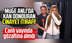 Müge Anlı'da kan donduran cinayet itirafı!