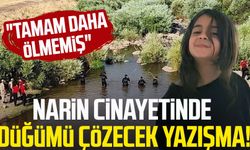 Narin cinayetinde düğümü çözecek yazışma: "Tamam daha ölmemiş"