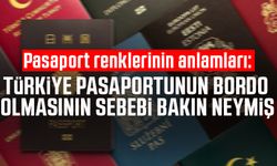 Pasaport renklerinin anlamları: Türkiye pasaportunun bordo olmasının sebebi bakın neymiş