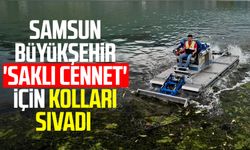 Samsun Büyükşehir 'Saklı Cennet' Ayvacık için kolları sıvadı