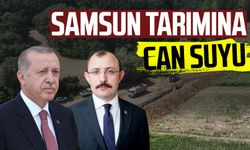 Samsun tarımına can suyu