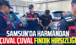 Samsun Tekkeköy'de harmandan çuval çuval fındık hırsızlığı