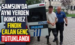 Samsun'da aynı yerden ikinci kez fındık çalan genç tutuklandı