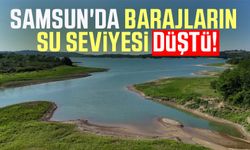 Samsun'da barajların su seviyesi düştü!