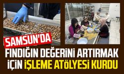 Samsun'da fındığın değerini artırmak için işleme atölyesi kurdu