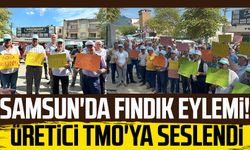 Samsun'da fındık eylemi! Üretici TMO'ya seslendi