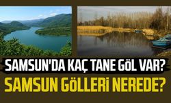 Samsun'da kaç tane göl var?, Samsun gölleri nerede?