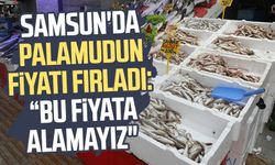 Samsun'da palamudun fiyatı fırladı: "Bu fiyata alamayız"