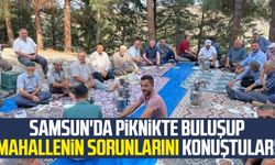 Samsun'da piknikte buluşup mahallenin sorunlarını konuştular