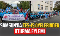 Samsun'da TES-İŞ üyelerinden oturma eylemi