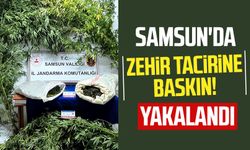 Samsun'da zehir tacirine baskın! Yakalandı