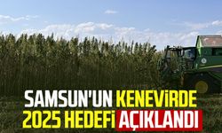 Samsun'un kenevirde 2025 hedefi açıklandı