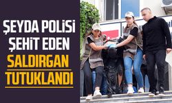 Şeyda polisi şehit eden saldırgan tutuklandı