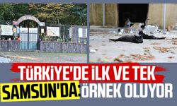 Türkiye'de ilk ve tek Samsun'da: Örnek oluyor