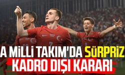 A Milli Takım'da sürpriz kadro dışı kararı