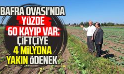 Bafra Ovası'nda yüzde 60 kayıp var: Çiftçiye 4 milyona yakın ödenek