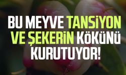 Bu meyve tansiyon ve şekerin kökünü kurutuyor!