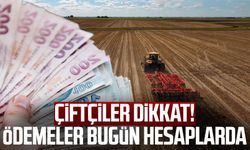 Çiftçiler dikkat! Ödemeler bugün hesaplarda