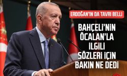 Cumhurbaşkanı Erdoğan'dan Bahçeli'nin sözlerine ilk yorum