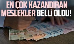 En çok kazandıran meslekler belli oldu!