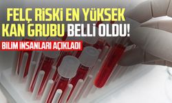 Bilim insanları açıkladı: Felç riski en yüksek kan grubu belli oldu!