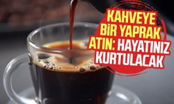 Kahveye bir yaprak atın: Hayatınız kurtulacak