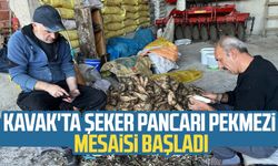 Kavak'ta şeker pancarı pekmezi mesaisi başladı