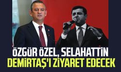 Özgür Özel, Selahattin Demirtaş'ı ziyaret edecek