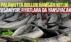 Palamutta bolluk hamside kıtlık yaşanıyor: Fiyatlara da yansıyacak