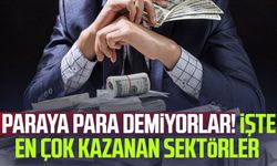 Paraya para demiyorlar! En çok kazanan sektörler belli oldu