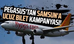 Pegasus'tan Samsun'a ucuz bilet kampanyası!