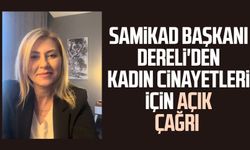 SAMİKAD Başkanı Dereli'den kadın cinayetleri için açık çağrı