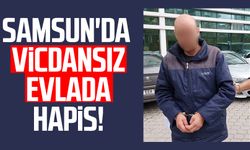 Samsun Fatih Mahallesi'nde anneye dayağa hapis!