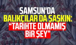 Samsun'da balıkçılar da şaşkın: "Tarihte olmamış bir şey"