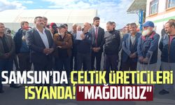 Samsun’da çeltik üreticileri isyanda! "Mağduruz"