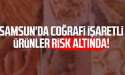 Samsun'da coğrafi işaretli ürünler risk altında!