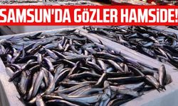 Samsun'da gözler hamside!