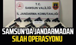 Samsun'da jandarmadan silah operasyonu