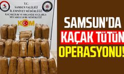 Samsun'da kaçak tütün operasyonu!