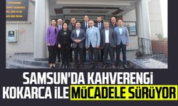 Samsun'da kahverengi kokarca ile mücadele sürüyor