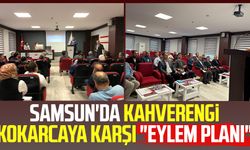 Samsun'da kahverengi kokarcaya karşı "Eylem Planı"