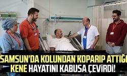 Samsun'da kolundan koparıp attığı kene hayatını kabusa çevirdi!