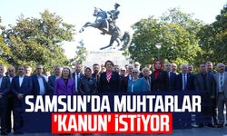 Samsun'da muhtarlar 'kanun' istiyor