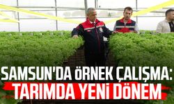 Samsun'da örnek çalışma: Tarımda yeni dönem