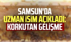 Samsun'da uzman isim açıkladı: Korkutan gelişme