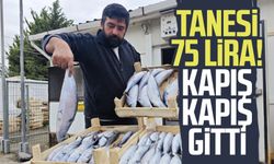 Tanesi 75 lira! Kapış kapış gitti